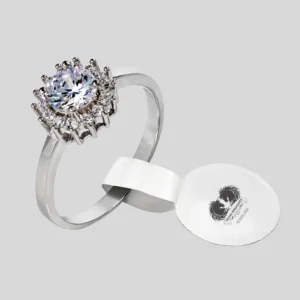 Elegant Silver Ring